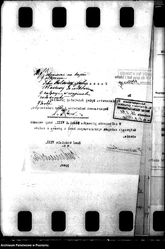 Obraz 15 z jednostki "Konie wojskowe dla ludności cywilnej"