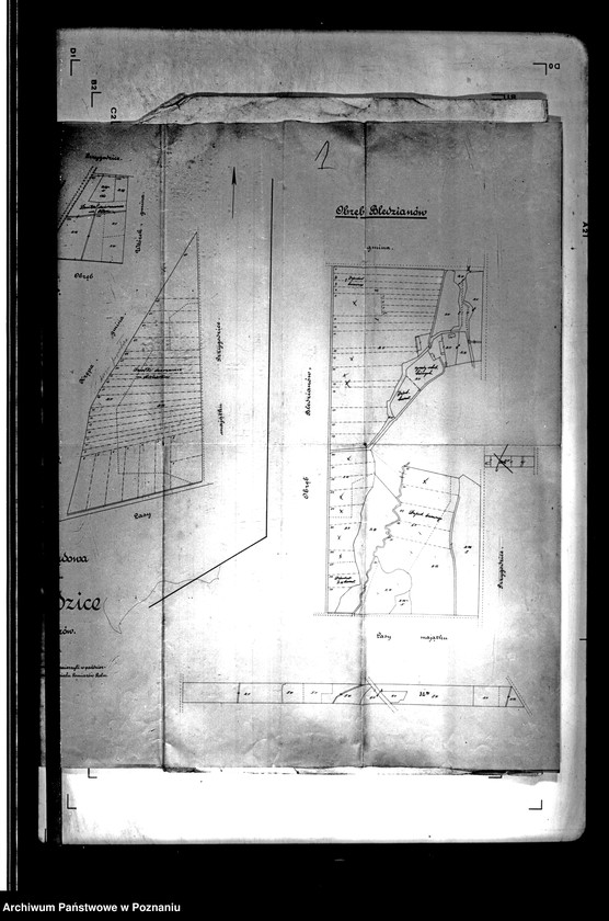 Obraz 5 z jednostki "Tymczasowy rejestr pomiarowy części majątku Przygodzice powiatu ostrowskiego"