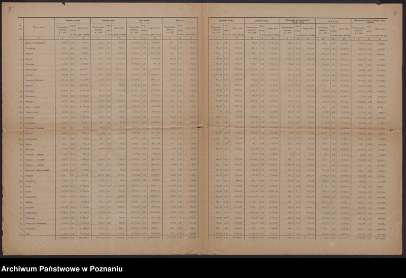 Obraz 5 z jednostki "[Wyniki oszacowania plonów roślin kłosowych, okopowych i strączkowych w Księstwie Poznańskim w 1919 roku], stan ziemiopłodów i plony w 1920 roku"