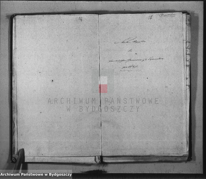 image.from.unit.number "Duplicate der Civil Standes Bücher der Juden Gemeinde zu Trzemeszno"