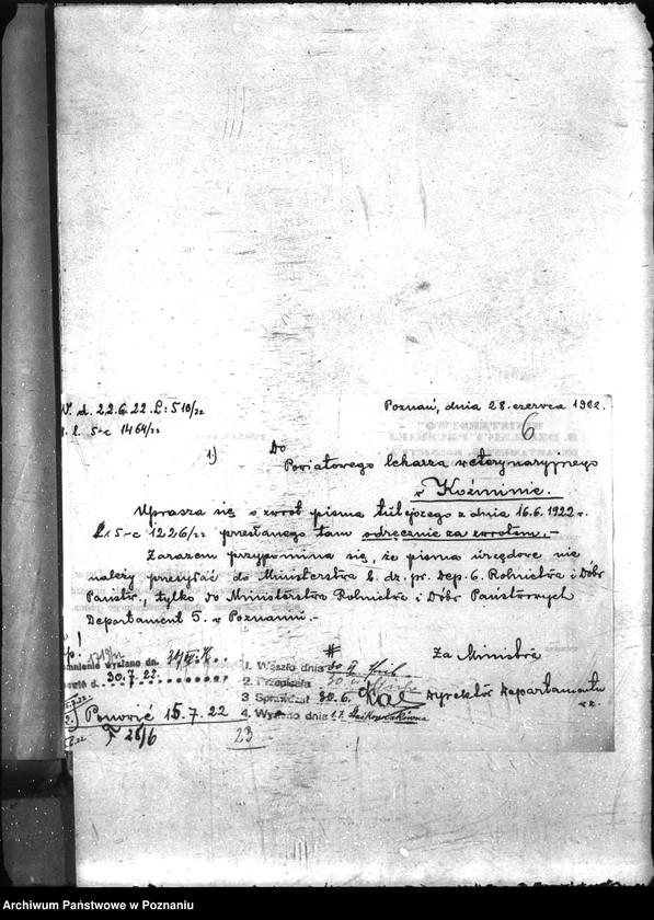 Obraz 12 z jednostki "Nosacizna - Koźmin"