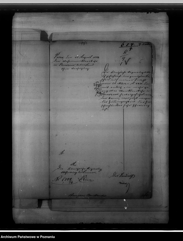 Obraz 9 z jednostki "Ordynacja targowa miasta Stęszewa"