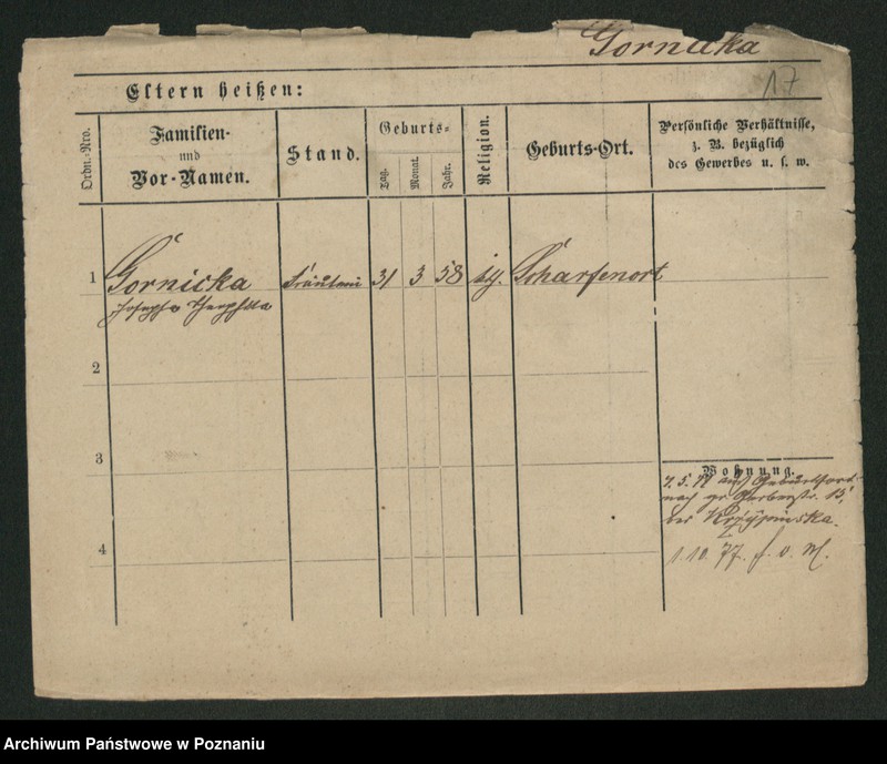 Obraz 19 z jednostki "Gorniacki - Gorzysławski"