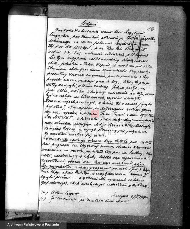 Obraz 14 z jednostki "Nadzór nad lasami majętności Maciejewo w powiecie czarnkowskim"