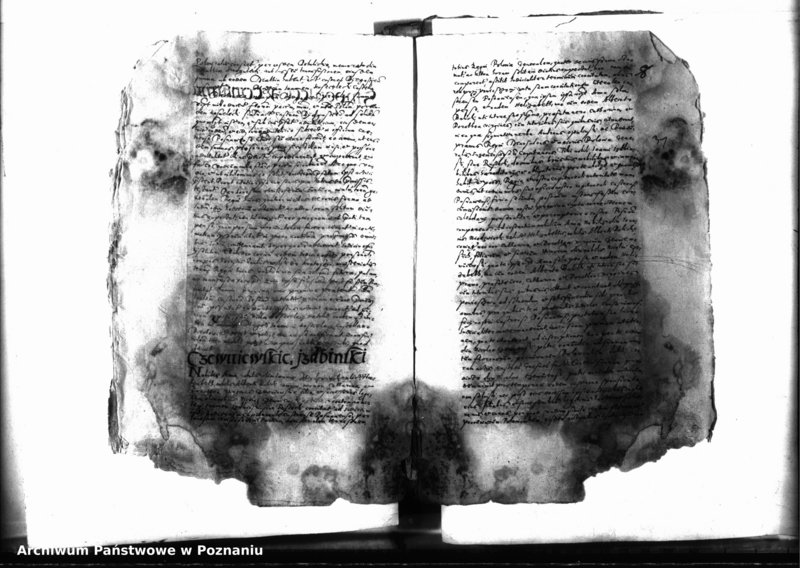 Obraz 11 z jednostki "Decreta officii [inducta]"