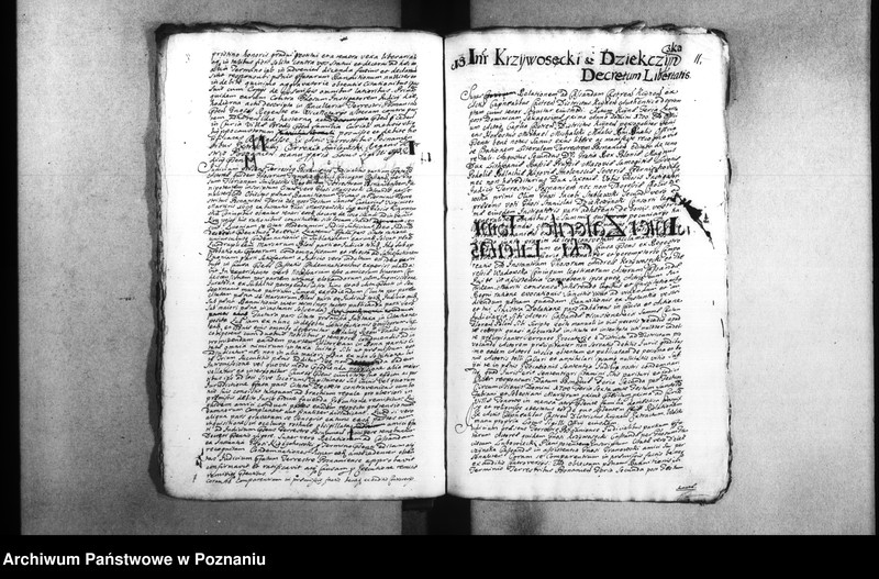 Obraz 14 z jednostki "Decreta [inducta]"