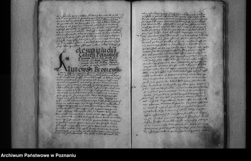 Obraz 17 z jednostki "Inscriptiones [inducta]"