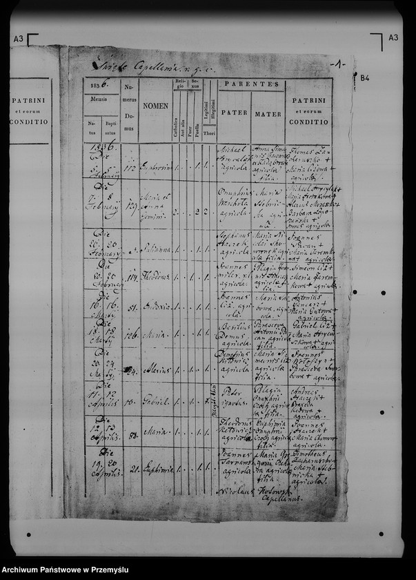 image.from.unit.number "[Kopie ksiąg metrykalnych parafii Święte z filią Zadąbrowie (dekanat Radymno)]"