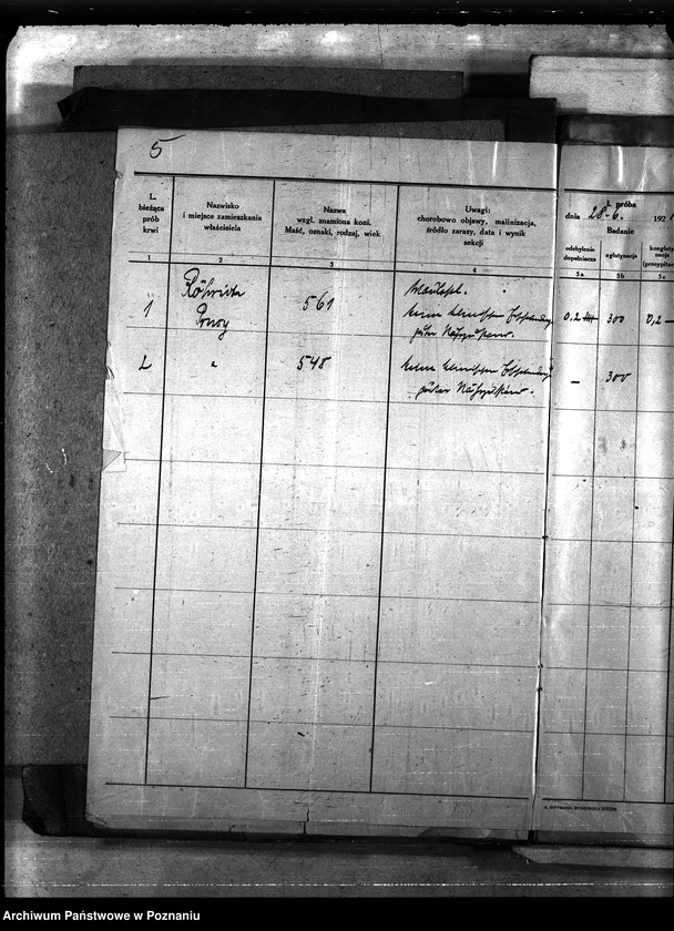 Obraz 9 z jednostki "Nosacizna - Wąbrzeźno"