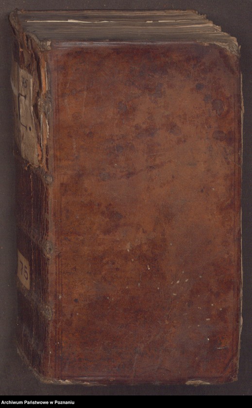 Obraz 3 z jednostki "Acta consularia civitatis SRMtis Posnaniae."