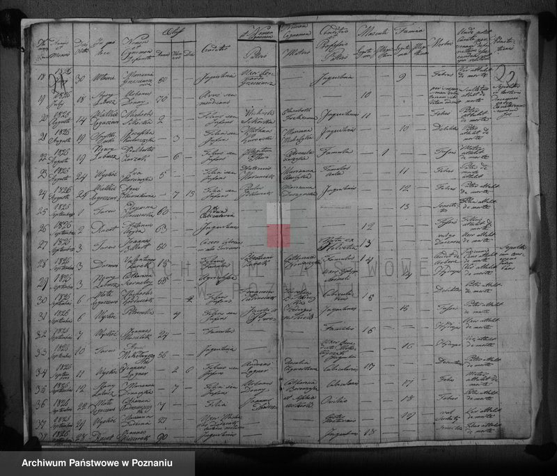 image.from.unit.number "Duplicat baptisatorum, copulatorum, mortuorum"