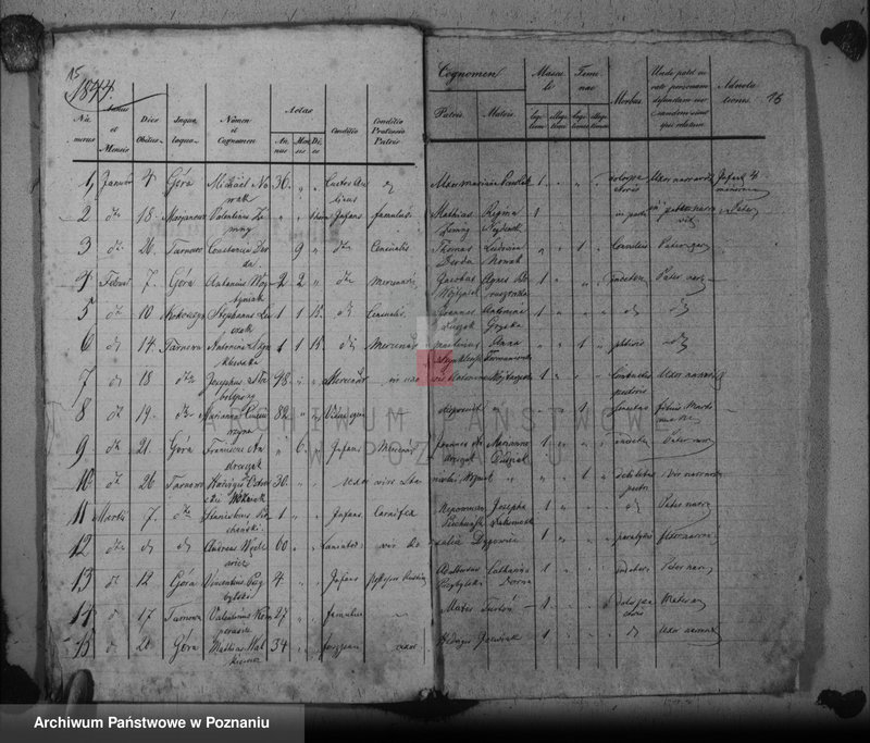 Obraz 15 z jednostki "Duplikat baptisatorum, copulatorum, mortuorum"