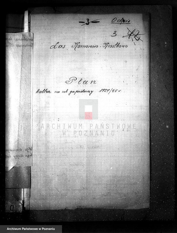 Obraz 7 z jednostki "Majętność leśna Komorowo powiat wyrzyski"