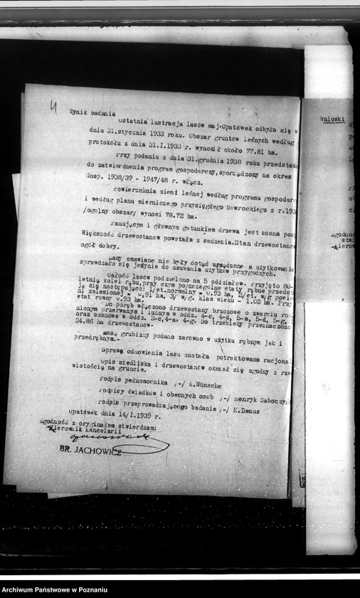 Obraz 8 z jednostki "Majątek Opatówek powiat kaliski sprawy leśne"