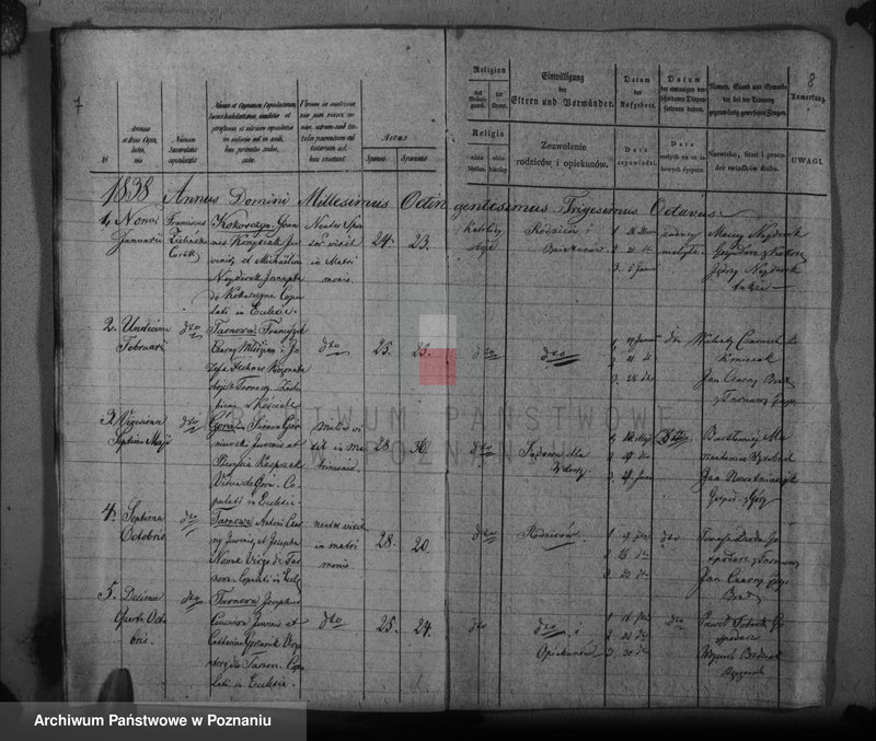 Obraz 8 z jednostki "Duplikat baptisatorum, copulatorum, mortuorum"