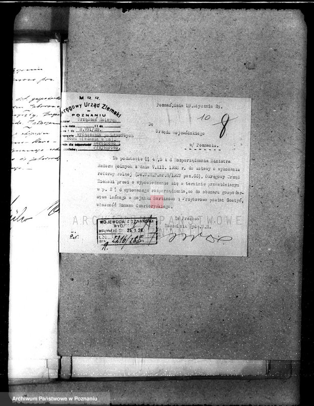 Obraz 13 z jednostki "Majętność leśna Sarbinowo w powiecie gostyńskim"