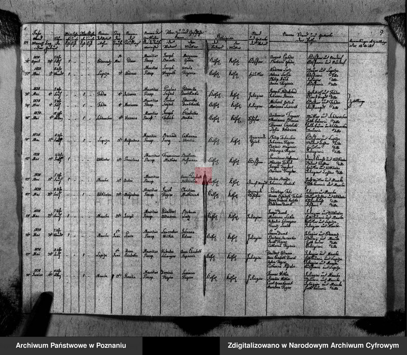 image.from.unit.number "Duplikat des Taufen, Traugen und Verstorbenen"