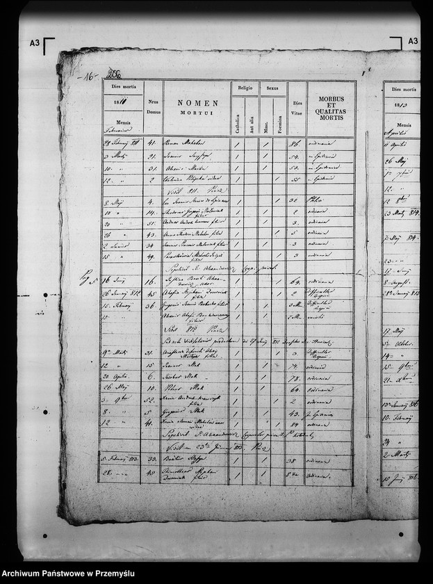 Obraz 20 z jednostki "[Kopie ksiąg metrykalnych parafii Kołodruby z filiami Lipice, Powerchów (dekanat Komarno)]"