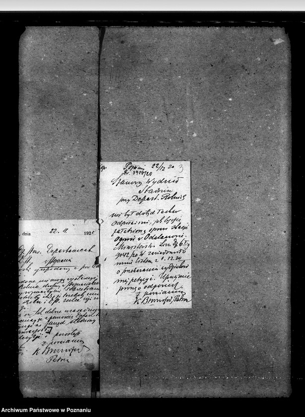 Obraz 7 z jednostki "Sprawy stadnin rozdział rządowych ogierów na stacjach"