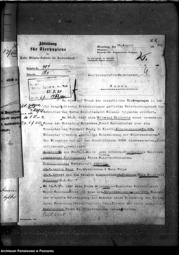 Obraz 8 z jednostki "Sprawy ogólne wąglik, szelestnica i zaraza dziczyzny"