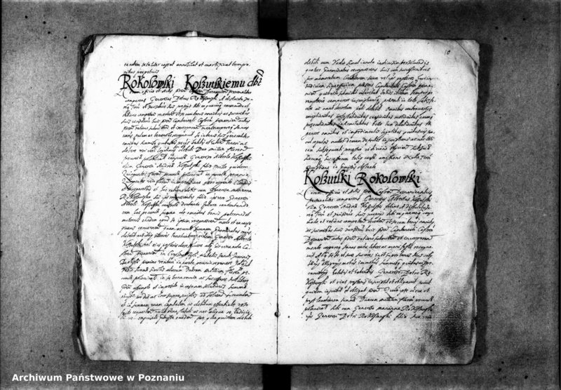 Obraz 12 z jednostki "Inscriptiones [inducta]"