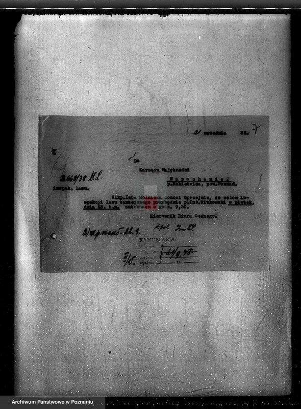 Obraz 11 z jednostki "Napachanie powiat poznański nadzór nad gospodarką leśną"