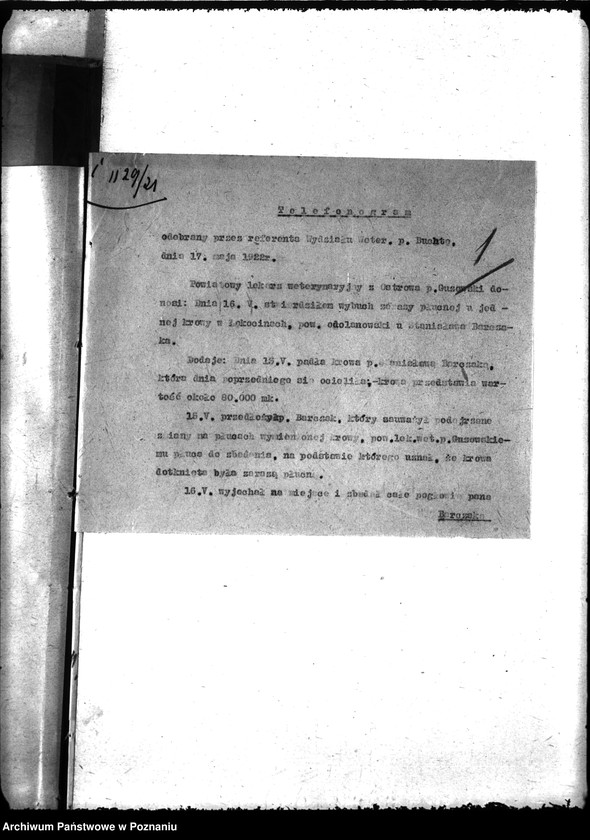 Obraz 5 z jednostki "Zaraza płucna - Odolanów"