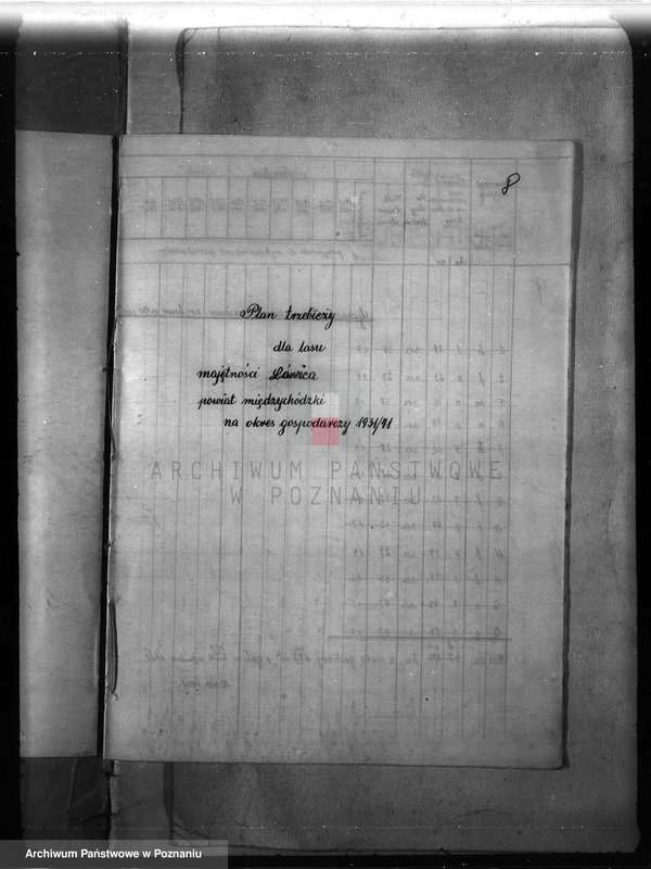 Obraz 11 z jednostki "Majętność leśna Ławica w powiecie międzychodzkim /plan urządzenia gospodarstwa leśnego/"