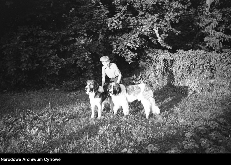 image.from.unit.number "Służewo w województwie pomorskim"