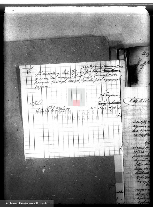 Obraz 20 z jednostki "Majętność leśna Chalin powiat międzychodzki"