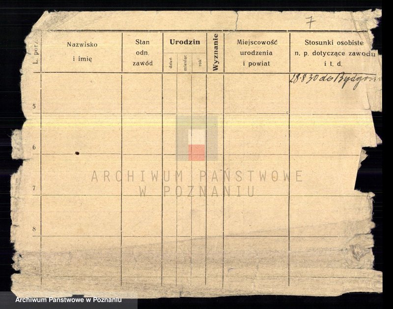 Obraz 9 z jednostki "Chudysiewicz - Chyczewski"