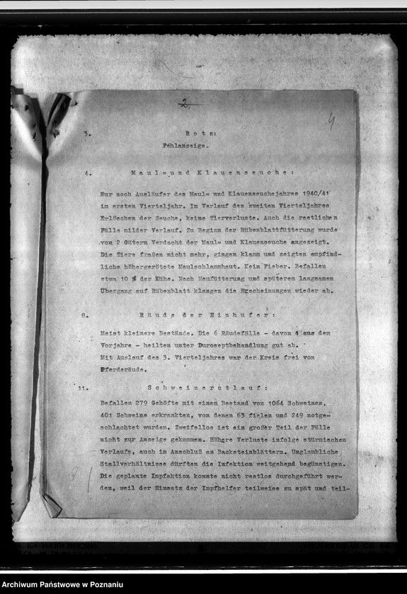 Obraz 8 z jednostki "Jahresveterinärbericht der Regierungs- Veterinärratstelle des Kreises Hermannsbad"