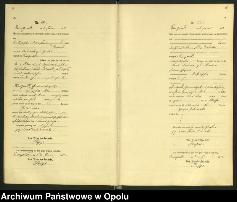 Obraz 16 z jednostki "Urząd Stanu Cywilnego Dziergowice Księga urodzeń rok 1903-05"