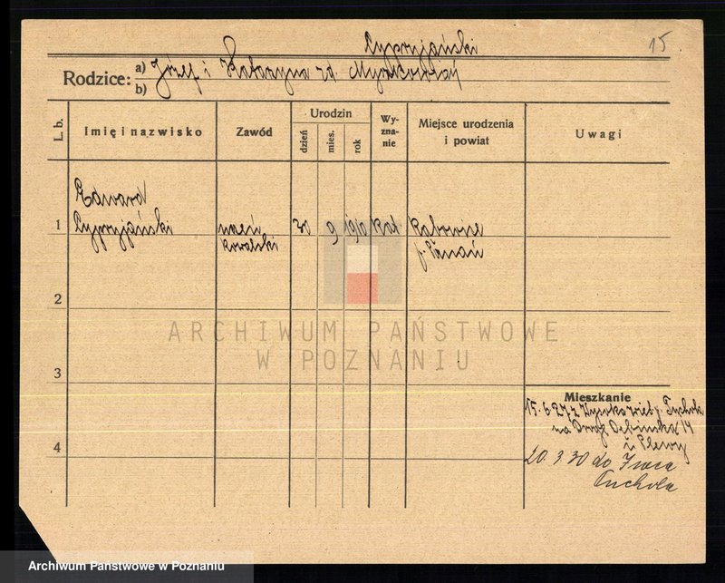 Obraz 17 z jednostki "Cypraniak - Czajka (żony i wdowy)"