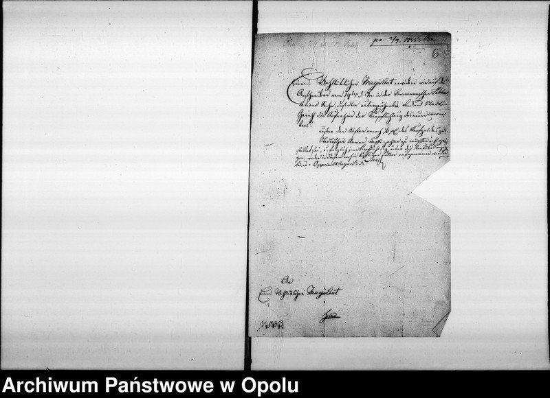 Obraz 11 z jednostki "Acta betreffend die Ausmittelung der fremden Pferde und etwaniges Fuhrwerk was durchs Militair da und dort requirirt, und auf diese Art vom Eigenthümern abhanden gekommen Vol. I de anno 1813"