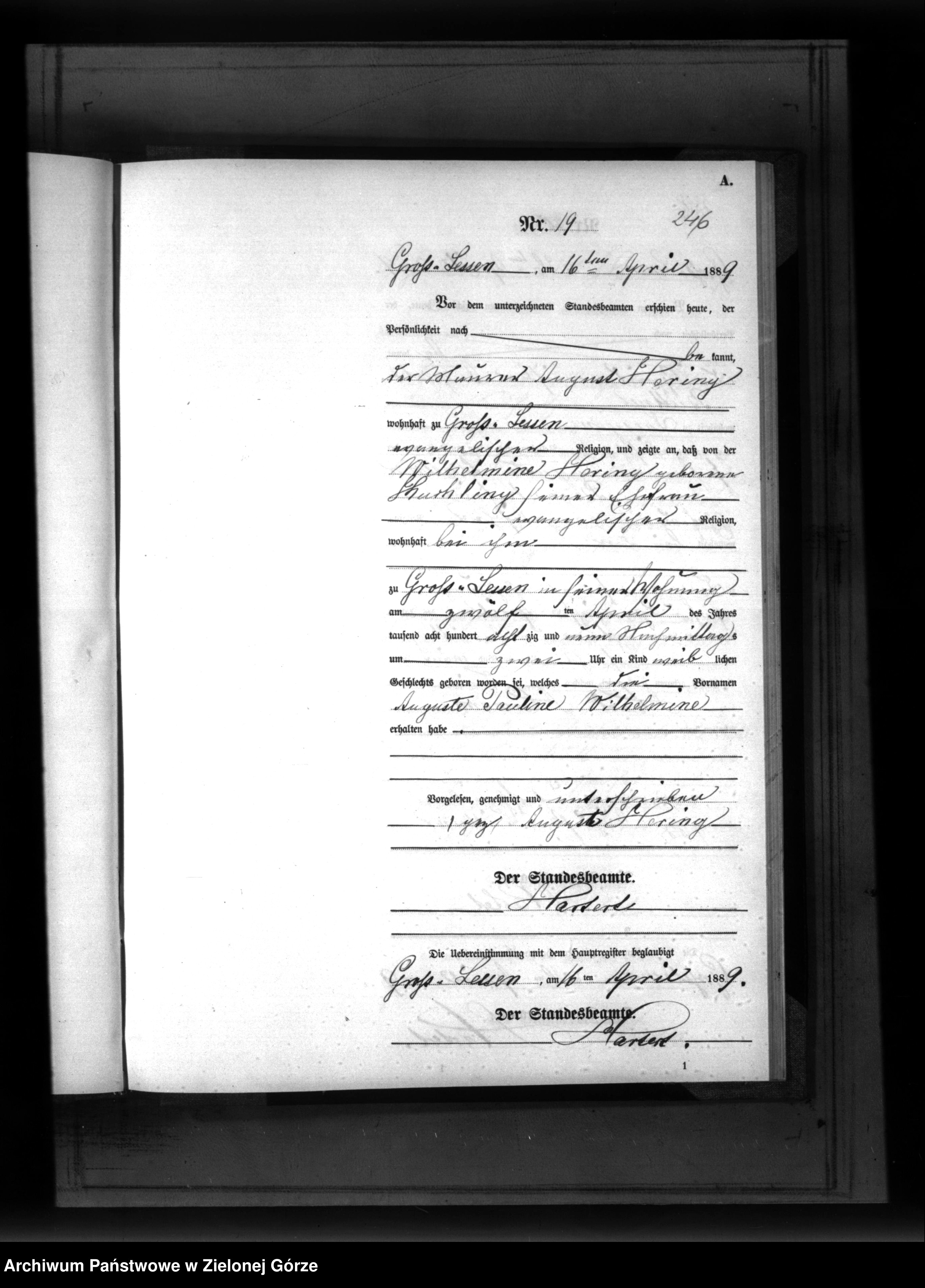 Skan z jednostki: [Księga urodzeń]