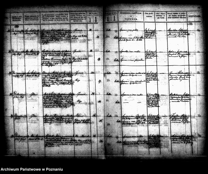 Obraz 6 z jednostki "Księga małżeństw"