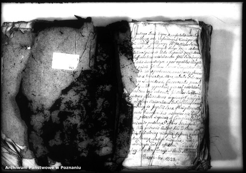 Obraz 3 z jednostki "Relationes [protocollon]"