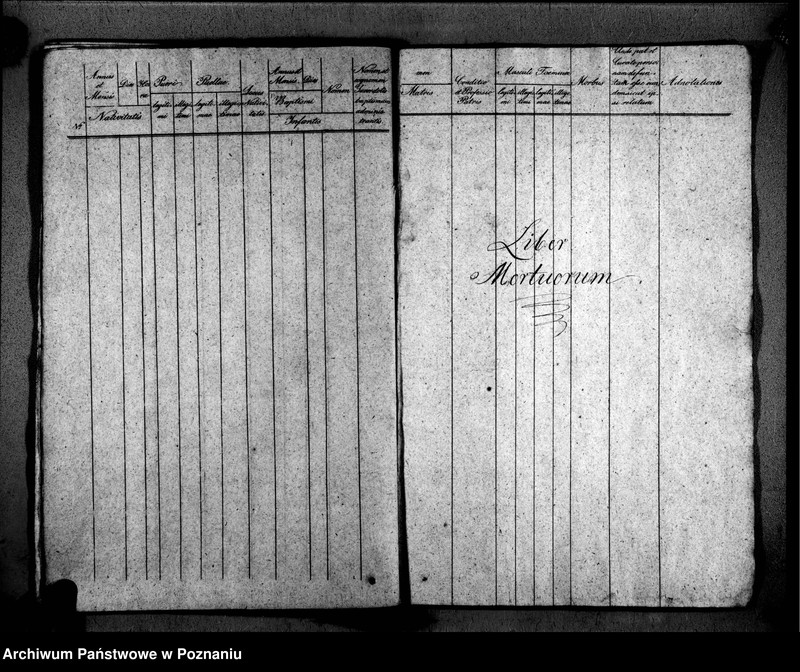 Obraz 13 z jednostki "Duplikat libri baptisatorum, copulatorum, mortuorum"