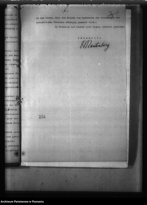 Obraz 8 z jednostki "Typhus"