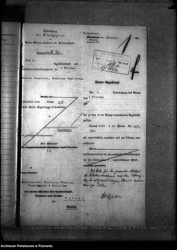 Obraz 5 z jednostki "Nosacizna - Bydgoszcz"