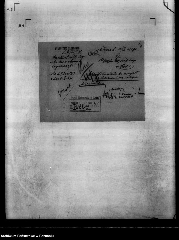 Obraz 12 z jednostki "Koło Myśliwskie w Słupcy powiat koniński"