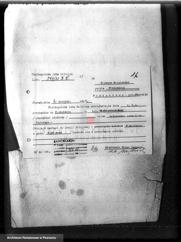 Obraz 20 z jednostki "Majętność /leśna/ Pamiątkowo powiat obornicki"