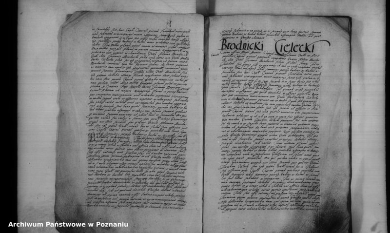 Obraz 7 z jednostki "Inscriptiones [inducta]"