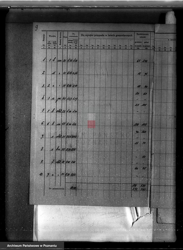 Obraz 13 z jednostki "Plan urządzania gospodarstwa leśnego dla lasu majętności Gorzyczki powiat kościański"