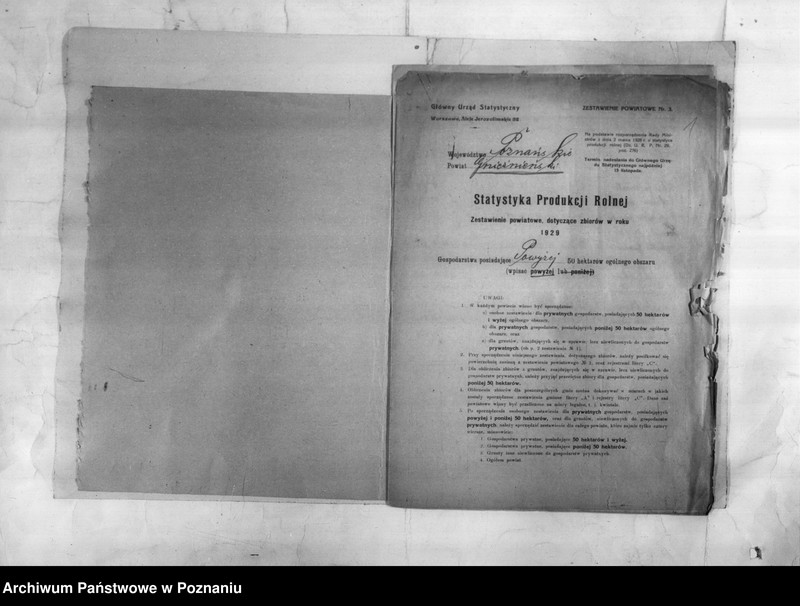 Obraz 3 z jednostki "/Statystyka produkcji rolnej - zestawienie powiatowe z terenu Gniezna/"