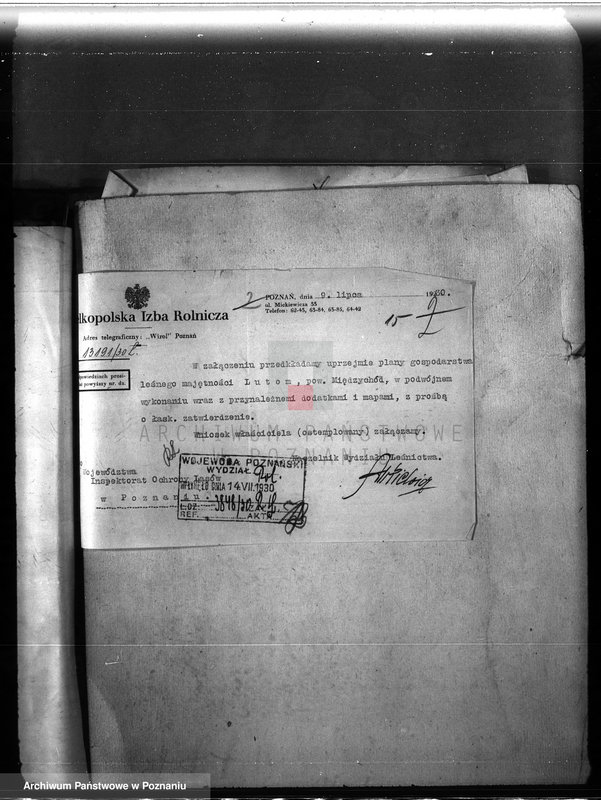 image.from.unit.number "Majętność leśna Lutom w powiecie międzychodzkim"