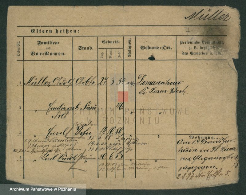 Obraz 9 z jednostki "Müller (żonaci i wdowy)"