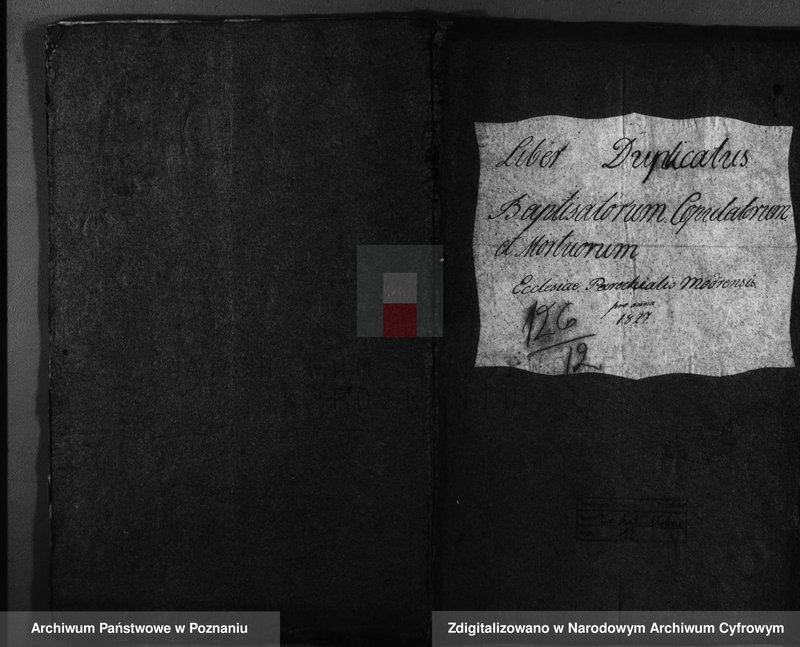 image.from.unit.number "Duplicatus baptisatorum, copulatorum, mortuorum"