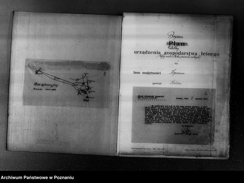 Obraz 5 z jednostki "Plan urządzania gospodarstwa leśnego dla lasu majętności Kopaczewo- Rogaczewo powiat kościański"
